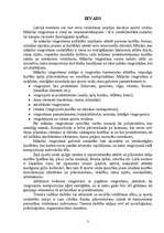 Referāts 'Mākslas vingrošana', 3.