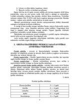 Referāts 'Mākslas vingrošana', 9.