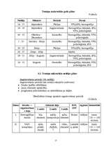 Referāts 'Mākslas vingrošana', 17.