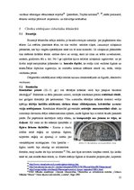 Referāts 'Cilvēka attēlojums tēlniecībā (līdz renesansei)', 26.