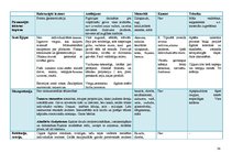 Referāts 'Cilvēka attēlojums tēlniecībā (līdz renesansei)', 35.
