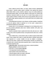 Referāts 'Personālatlases problēmas uzņēmējdarbībā', 5.