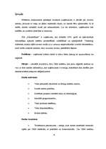 Diplomdarbs 'Klientu attiecību pārvaldības sistēma uzņēmumam SIA "Siltumsūknis"', 9.