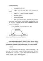 Diplomdarbs 'Klientu attiecību pārvaldības sistēma uzņēmumam SIA "Siltumsūknis"', 30.