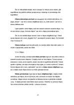 Diplomdarbs 'Klientu attiecību pārvaldības sistēma uzņēmumam SIA "Siltumsūknis"', 37.