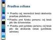 Prezentācija 'Civilprocess', 8.