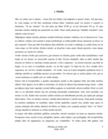 Referāts 'Mūzikas un modes stili', 4.