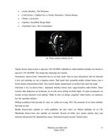 Referāts 'Mūzikas un modes stili', 11.