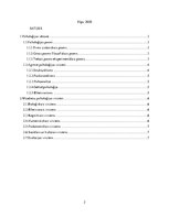 Konspekts 'Psiholoģijas vēstures aspekti un virzieni psiholoģijā', 2.