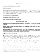 Konspekts 'Uzņēmējdarbības krimināltiesiskie aspekti', 3.