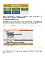 Konspekts 'Uzņēmējdarbības krimināltiesiskie aspekti', 21.