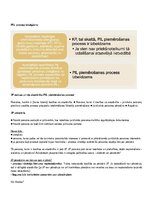 Konspekts 'Uzņēmējdarbības krimināltiesiskie aspekti', 32.