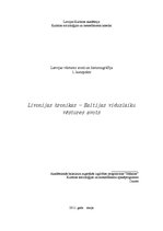 Konspekts 'Baltijas viduslaiku vēstures avots "Livonijas hronikas"', 1.