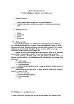 Paraugs 'Vielu atdzišanas likums', 1.