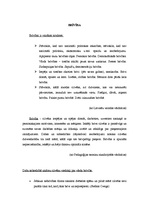 Konspekts 'Brīvība', 1.