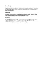 Konspekts 'Projekta komandas un organizācijas struktūra', 2.