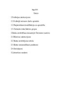 Referāts 'Darba riska analīze', 2.