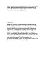 Referāts 'Darba riska analīze', 8.