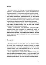 Referāts 'Tirgus nepilnība - monopols', 3.