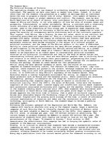 Eseja 'Essay about Bllod Diamonds in Africa', 1.