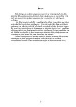 Referāts 'Interneta tīkla nodrošinājums uzņēmumā', 3.