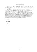 Referāts 'Interneta tīkla nodrošinājums uzņēmumā', 4.