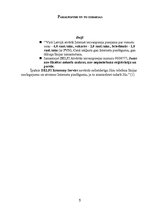 Referāts 'Interneta tīkla nodrošinājums uzņēmumā', 5.
