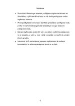 Referāts 'Interneta tīkla nodrošinājums uzņēmumā', 9.