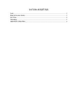 Referāts 'Migela de Servantesa darbs "Dons Kihots"', 1.