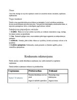 Biznesa plāns 'Ēdināšanas uzņēmuma biznesa plāns', 7.