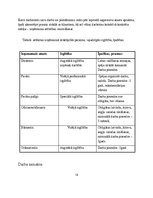 Biznesa plāns 'Ēdināšanas uzņēmuma biznesa plāns', 13.