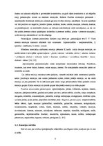 Referāts 'Masu medijos publicēto ideālu ietekme uz pusaudzes emocionālo stāvokli', 6.