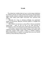 Referāts 'Datorspeciālisti', 3.