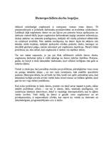 Referāts 'Datorspeciālisti', 4.