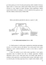 Diplomdarbs 'Tēmas "Veselīgs dzīvesveids" apguve dabaszinībās 3.klasē', 34.