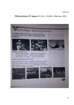 Diplomdarbs 'Tēmas "Veselīgs dzīvesveids" apguve dabaszinībās 3.klasē', 77.