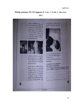 Diplomdarbs 'Tēmas "Veselīgs dzīvesveids" apguve dabaszinībās 3.klasē', 78.