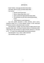 Referāts 'Pašvaldības budžets', 3.