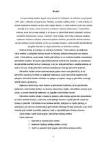 Referāts 'Pašvaldības budžets', 5.