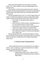 Referāts 'Pašvaldības budžets', 9.