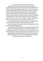 Referāts 'Pašvaldības budžets', 13.