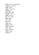 Referāts 'Mūsdienu jauniešu sarunvalodas raksturojums', 13.