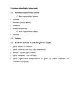 Referāts 'Aušanas tehnoloģiskais process', 5.