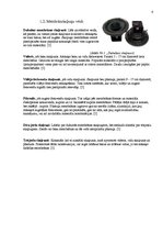 Referāts 'Plazmas skaļrunis un tā pielietošanas iespējas', 6.