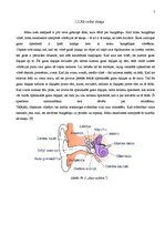 Referāts 'Plazmas skaļrunis un tā pielietošanas iespējas', 7.