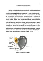 Referāts 'Plazmas skaļrunis un tā pielietošanas iespējas', 8.