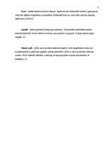 Referāts 'Plazmas skaļrunis un tā pielietošanas iespējas', 9.