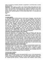 Konspekts 'Diplomātiskās un konsulārās tiesības', 11.