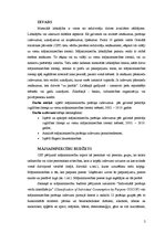 Referāts 'Patēriņa izdevumu sastāvs un struktūra pēc galvenā pelnītāja izglītības līmeņa', 2.