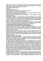 Konspekts 'Valsts pārvaldes formas. Somija', 5.